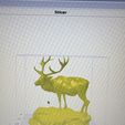 image0.jpeg BULL ELK
