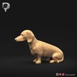 Dachshund-Miniature-Smooth-Haired-Pose-04-Dog-3D-Print-8s.jpeg Dachshund Miniature Smooth Haired Pose 04
