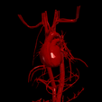 1.png 3D Model of Heart and Cardiovascular System