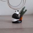 pandaming-7.jpg PANDA Ming 🐼