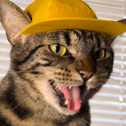 IMG_3975.png Baseball Cat Cap