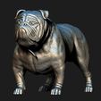 09.jpg Bulldog model 3D print model