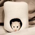 Marshmallow.jpg Marshmallow Hide for hamsters or small animals