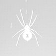 Spider6-2.jpg 7 Spider Silhouettes, Arachnid Outlines, Orb Weaver, Hourglass Spider, Stencils