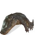 7.jpg Alligator REPTILE MAMMAL WATER SEA RIVER FISH Alligator SEA 3D Alligator