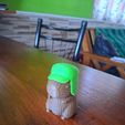 Imagen-de-WhatsApp-2025-08-23-a-las-19.50.47_5da5d675.jpg capybara with assorted helmets