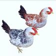 01.jpg CHICKEN CHICKEN - DOWNLOAD CHICKEN 3d Model - animated for Blender-Fbx-Unity-Maya-Unreal-C4d-3ds Max - 3D Printing HEN hen, chicken, fowl, coward, sissy, funk- BIRD - POKÉMON - GARDEN