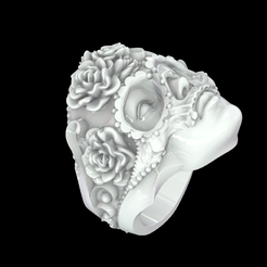 Screenshot-2023-11-04-173533.png Anillo Catrina