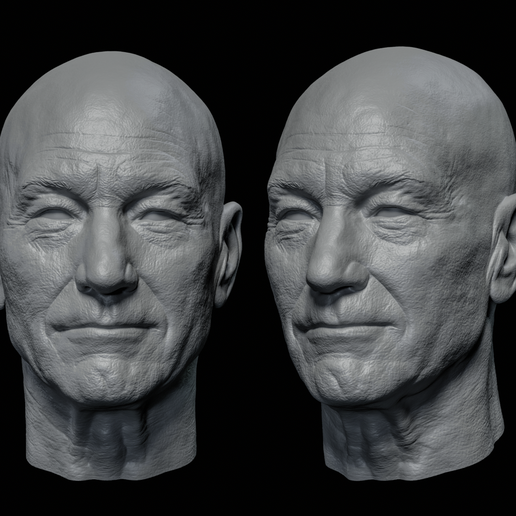 Sir. Patrick Stewart Captain Picard Charles Xavier Professor X