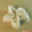 12a.jpg STL file flowers: Plumeria - 3D printable model・3D printing model to download