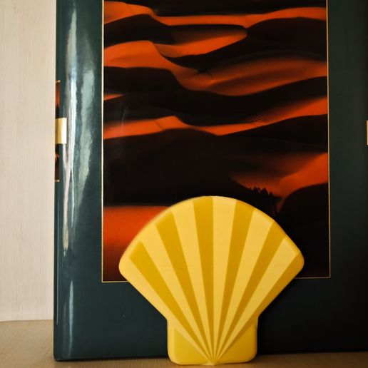 1756564695238.jpg S(t)y Shell