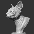 05.png Sphynx Cat Head AM08 3D print model