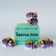 20260122_155805196_iOS.jpg Baby Beetles and Box