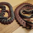 Serpiente y cascabel