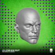 15.png Lex Luthor Fan Art Head 3D printable File