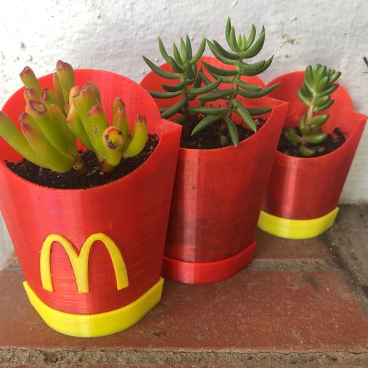 IMG_5835.JPG Fries with That?