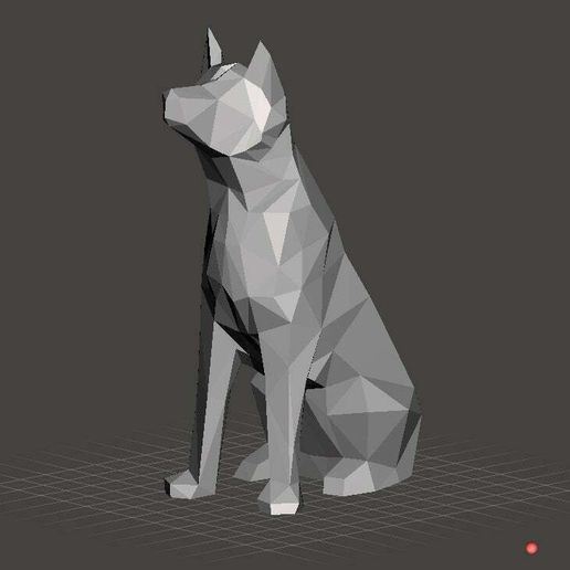 MishaTheDog.jpg Misha le chien