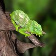 TQuadricornisPosterSzene0006.jpg Southern four-horned chameleon Triocerus quadricornis file with full-size texture STL 3D print high polygon - modeled in Zbrush with tree/branch