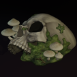 skull-hide-8.png Skull Forest Floor Hide