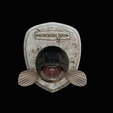 northern-pike-3.png head trophy NORTHERN PIKE (ESOX LUCIUS) open mouth statue detailed texture for 3d printing