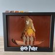 IMG20230717123643.jpg Harry Potter Shadow Box (A)