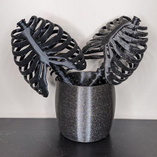 PXL_20210721_215800846.jpg Espaldera