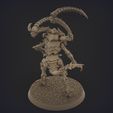 nids.1138.jpg ORIGINAL PLASTIC  FREE LICTOR