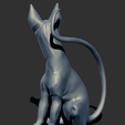 2.png Sphynx Cat
