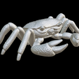 Capture-d’écran-2023-07-06-à-10.34.23.png crab