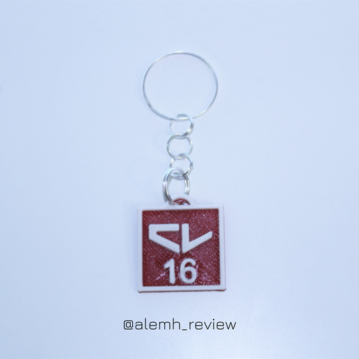 @alemh_review F1 Drivers Logo Keychain