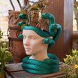 DSC04887.jpeg Medusa Planter