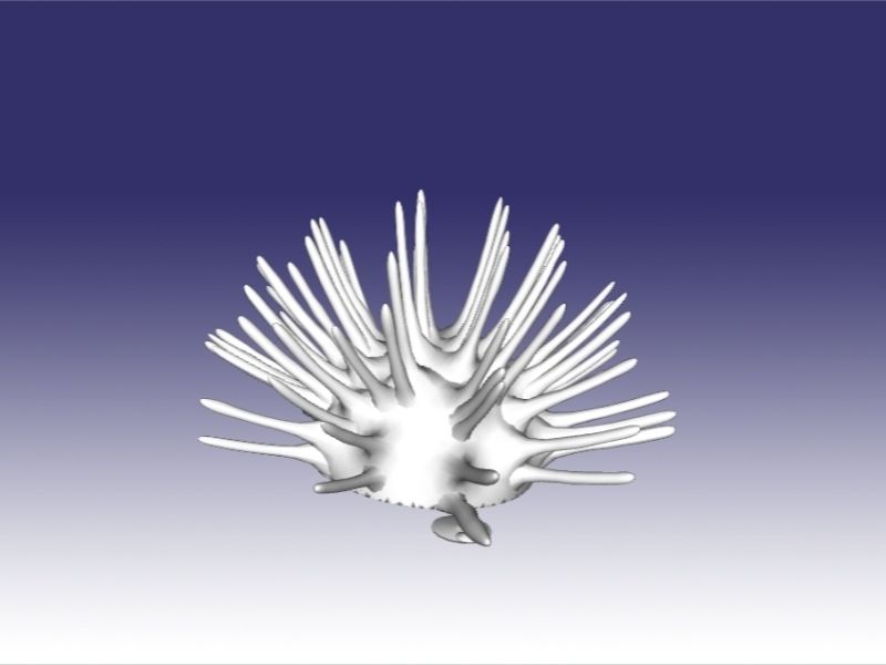 kestane kalın0009.jpg Download OBJ file Sea Urchin • 3D printable object, Dsignrcmc