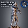 8.jpg Shore trooper Squad leader Fan art Star wars