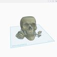 skplant.jpg Skull And Rose planter {sculpted
