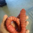 20170327_152324.jpg Hermie, the GIANT worm! (fully-articulated)