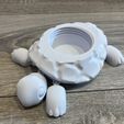 IMG_4453.jpg Fidget Tortoise with Open shell