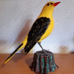 Mignon oiseau réaliste prêt à être imprimé