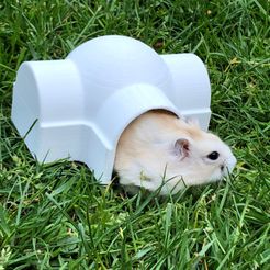QHH2-v2.jpg Файл STL Skywalker Hamster House・Дизайн для загрузки и 3D-печати
