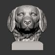 Golden_retriever5.jpg Golden retriever 3D print model