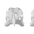 Chicken-scan-STL-v2-smooth-reduced-polyt.png Chicken Skull | 1:1 HIGH RESOLUTION 3D SCANNED REPLICA | BY CC3D