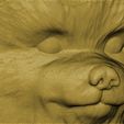 22.jpg Puppy of Pomeranian dog head for 3D printing