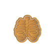Rib-Cage.png Body Organs Cookie Cutter Set of 6