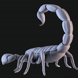 03.png Scorpion