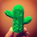retrocactus