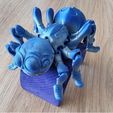 Niedliche Flexi Print-in-Place Spinne