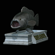 White-grouper-open-mouth-statue-6.png fish white grouper / Epinephelus aeneus open mouth statue detailed texture for 3d printing