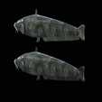 Catfish-Europe-21.png FISH WELS CATFISH / SILURUS GLANIS solo model detailed texture for 3d printing