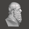 Charles-Darwin-8.png 3D Model of Charles Darwin - High-Quality STL File for 3D Printing (PERSONAL USE)