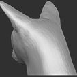 9.jpg Abyssinian cat head for 3D printing