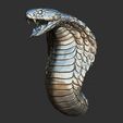 20.jpg Snake cobra
